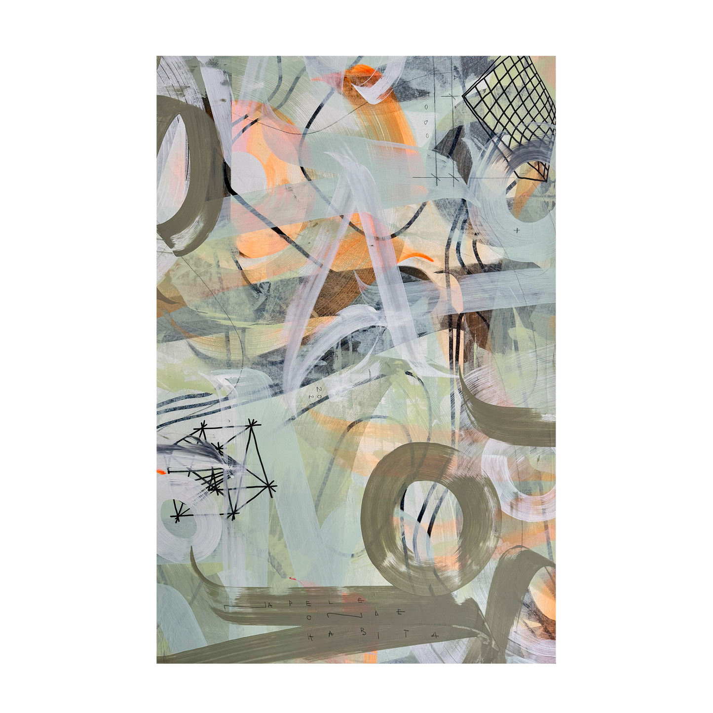 "bi(o)dimensionalidade II"